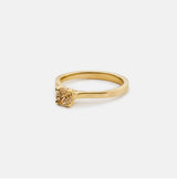 Helena hidden halo natural brown diamond ring 0.5ct 14k gold
