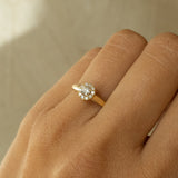 Sophia ring 18 carat diamonds cluster ring