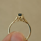 Theresa split halo signature sapphire 14k gold ring